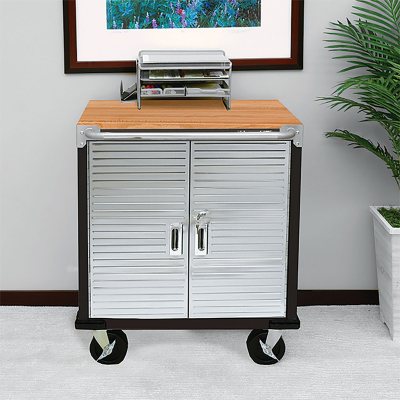 Seville Classics UltraHD 2 Door Rolling Cabinet, 28" W x 18Ã¢ÂÂ D x 34.5" H