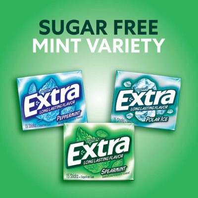 EXTRA Mint Sugar Free Chewing Gum, Variety Pack, 15 pc., 18 pk.