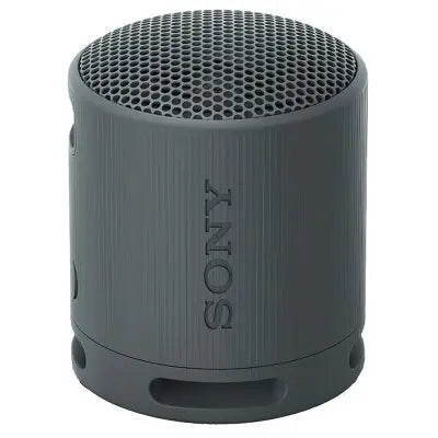 Sony SRSXB100 Tragbarer Bluetooth Lautsprecher