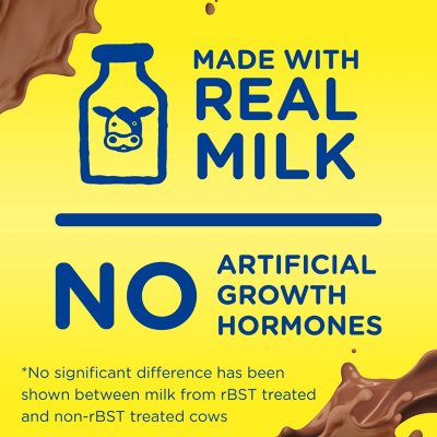 Nesquik Chocolate Milk Beverage 8 fl. oz., 15 pk.