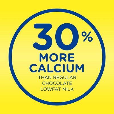 Nesquik Chocolate Milk Beverage 8 fl. oz., 15 pk.