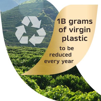 Nescafé Taster's Choice Decaf House Blend Instant Coffee, 14 oz.