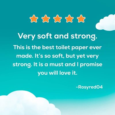 Angel Soft Soft & Strong 2-Ply Toilet Paper 48 rolls, 320 sheets/roll