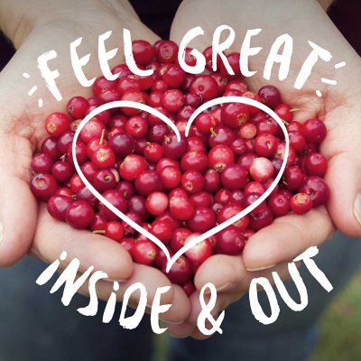 Ocean Spray Juice Drink Variety Pack 10 fl. oz., 18 pk.