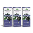 BUNDLE: Sambucus Standardized Elderberry Original Syrup, Immune Support, 4 fl. oz., 3 ct.