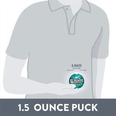 ICE BREAKERS Wintergreen Sugar Free Breath Mints, 1.5 oz., 8 pk.