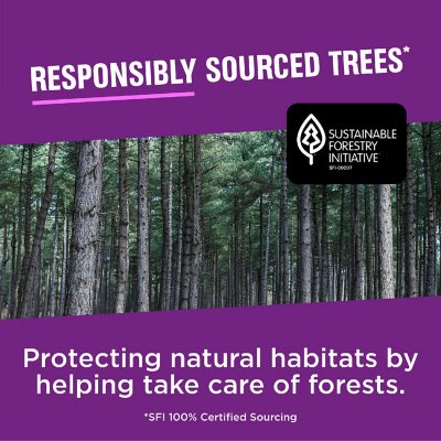 Vanity Fair Extra Absorbent 2-Ply White Paper Napkins, 6 pk., 504 ct.