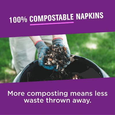 Vanity Fair Extra Absorbent 2-Ply White Paper Napkins, 6 pk., 504 ct.