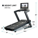 NordicTrack Commercial Series 2450 Incline Treadmill