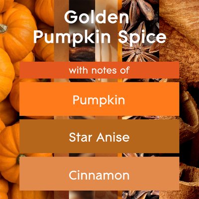 Glade PlugIns Scented Oil, Pumpkin & Spice 2 Warmers + 6 Refills