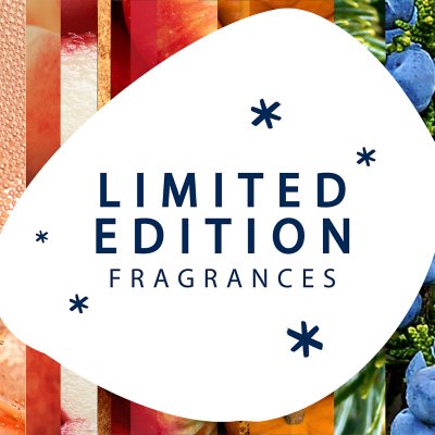 Glade PlugIns Scented Oil, Pumpkin & Spice 2 Warmers + 6 Refills