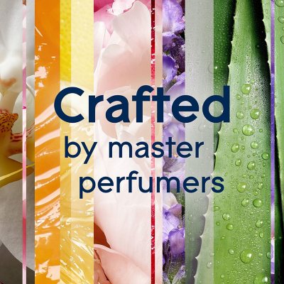 Glade Automatic Spray Air Freshener Refills, 4 ct., Choose Scent