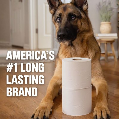 Scott 1100 1-Ply Toilet Paper 36 rolls, 1100 sheets/roll