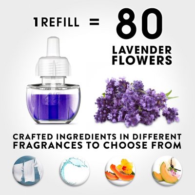 Air Wick Essential Oil Air Freshener, Lavender & Chamomile, 9 Refills