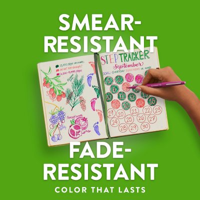 Paper Mate Flair Pens, Assorted Colors, Pack of 20