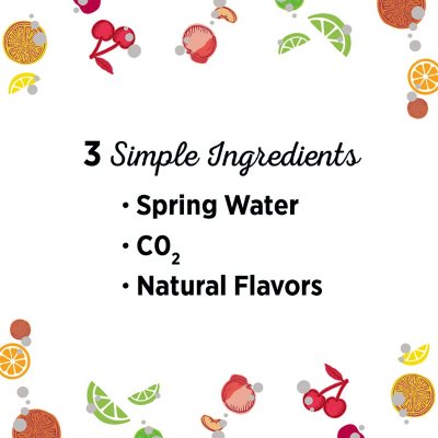 Poland Spring Sparkling Water Flavor Variety Pack 16.9 fl. oz., 24 pk.