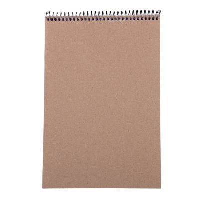 Member's Mark Steno Pad 6" x 9" 12-Pack