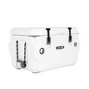 Lifetime 65-Quart Hochleistungs-Kühlbox, Farbe wählbar