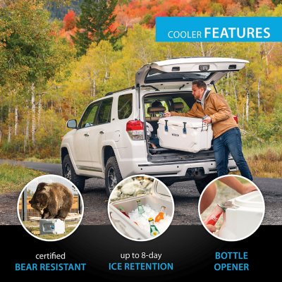 Lifetime 65-Quart High Performance Cooler