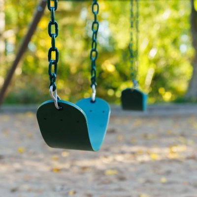 Lifetime 10-Foot Swing Set