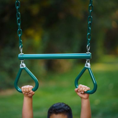 Lifetime 10-Foot Swing Set