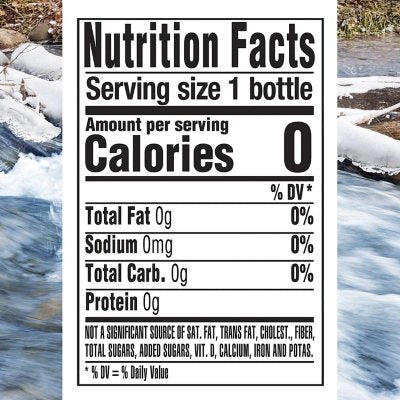 Ice Mountain 100% Natural Spring Water 16.9 fl. oz. 40 pk.