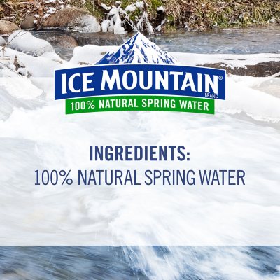 Ice Mountain 100% Natural Spring Water 16.9 fl. oz. 40 pk.