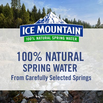 Ice Mountain 100% Natural Spring Water 16.9 fl. oz. 40 pk.