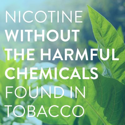 Member's Mark Nicotine Coated Gum, Choose your flavor, 300 ct.