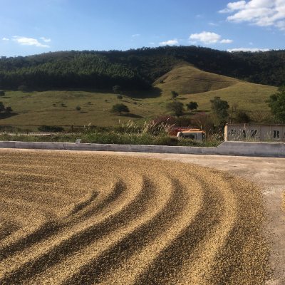 Member's Mark Donut Shop Medium Roast Ground Coffee, 40 oz.