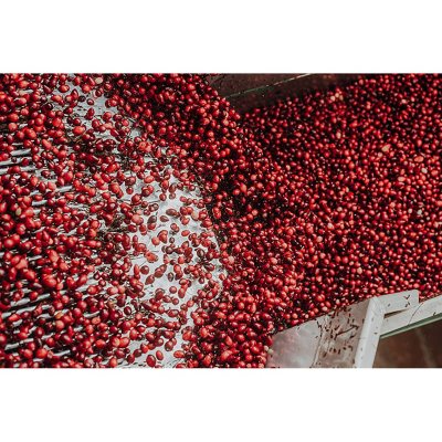 Member's Mark Clinical Strength Cranberry Capsules, 500 mg, 150 ct.