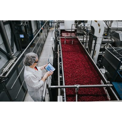 Member's Mark Clinical Strength Cranberry Capsules, 500 mg, 150 ct.