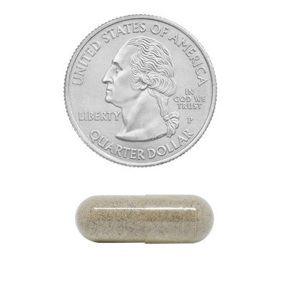 Member's Mark 100% Psyllium Husk Fiber Capsules, 800 ct.