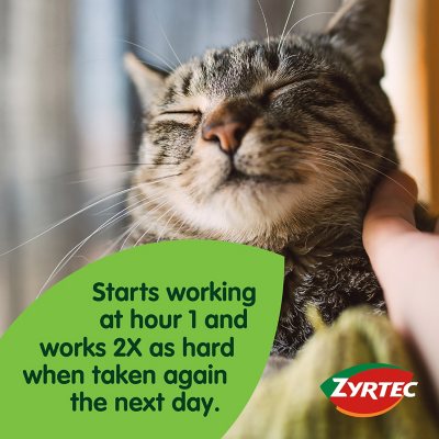 Zyrtec Antihistamine Allergy Tablets, 10 mg 120 ct.