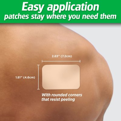 Salonpas Pain-Relieving Patch, 140 ct.
