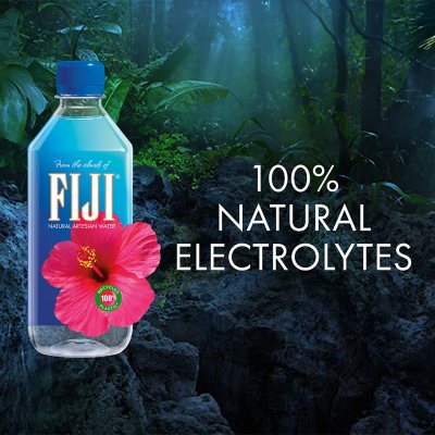 FIJI Natural Artesian Water 16.9 fl. oz., 24 pk.