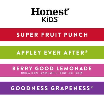 Honest Kids Organic Fruit Juice Drink Boxes Variety Pack 6 oz., 40 pk.