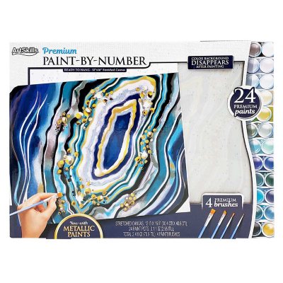 ArtSkills 12" x 16" Paint by Number Art Kit, Select Design