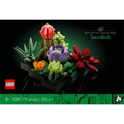 LEGO Succulents Plant Decor Building Set, 771 pcs.