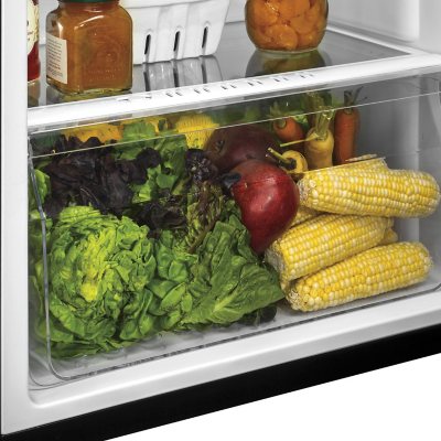 Haier 9.8 Cu. Ft. Top Freezer Refrigerator