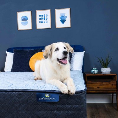 Serta Perfect Sleeper Bleu Moment 13.5" Mattress (Available in Firm and Plush)