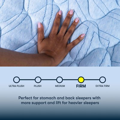 Serta Perfect Sleeper Bleu Moment 13.5" Mattress (Available in Firm and Plush)