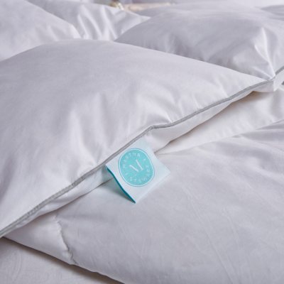 Martha Stewart 240 Thread Count White Goose Feather and Down Comforter, Various Sizes