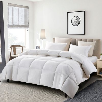 Serta All-Season White Goose Feather and Down Fiber Comforter, Various Sizes