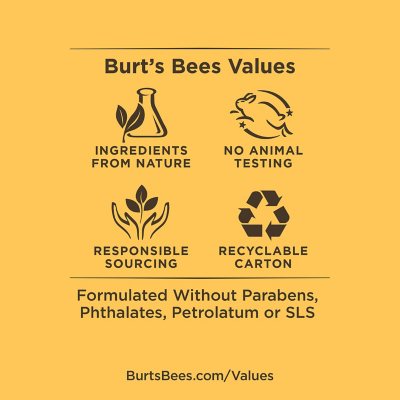 Burt's Bees 100% Natural Origin Beeswax Moisturizing Lip Balm 8 pk.