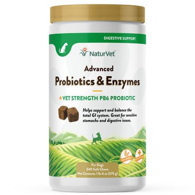 NaturVet, Advanced Probiotics and Enzymes Soft Chews for Dogs, 240 ct.