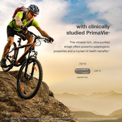 Youtheory Men's Shilajit 500mg Capsules, 120 ct.