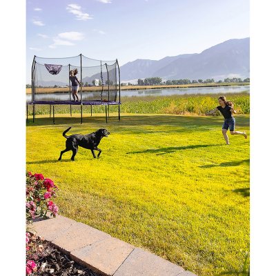 Skywalker Trampolines 14' Heavy Duty Trampoline with Basketball Hoop
