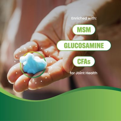 Blue Stop Max Massage Gel for Body Aches, 16 fl. oz.