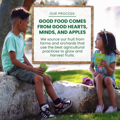 GoGo SqueeZ Applesauce Pouches, Apple Apple, 3.2oz., 32ct.